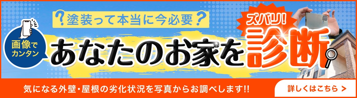 画像でカンタンお家の健康診断
