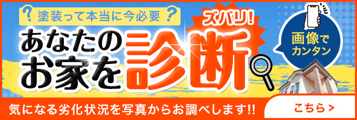 画像でカンタンお家の健康診断